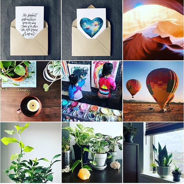 Looks like my cards, the trip to Phoenix for @jboogie64&rsquo;s fourth decade, the bright colors my girls bring, and my plants made it into the #topnine2019!