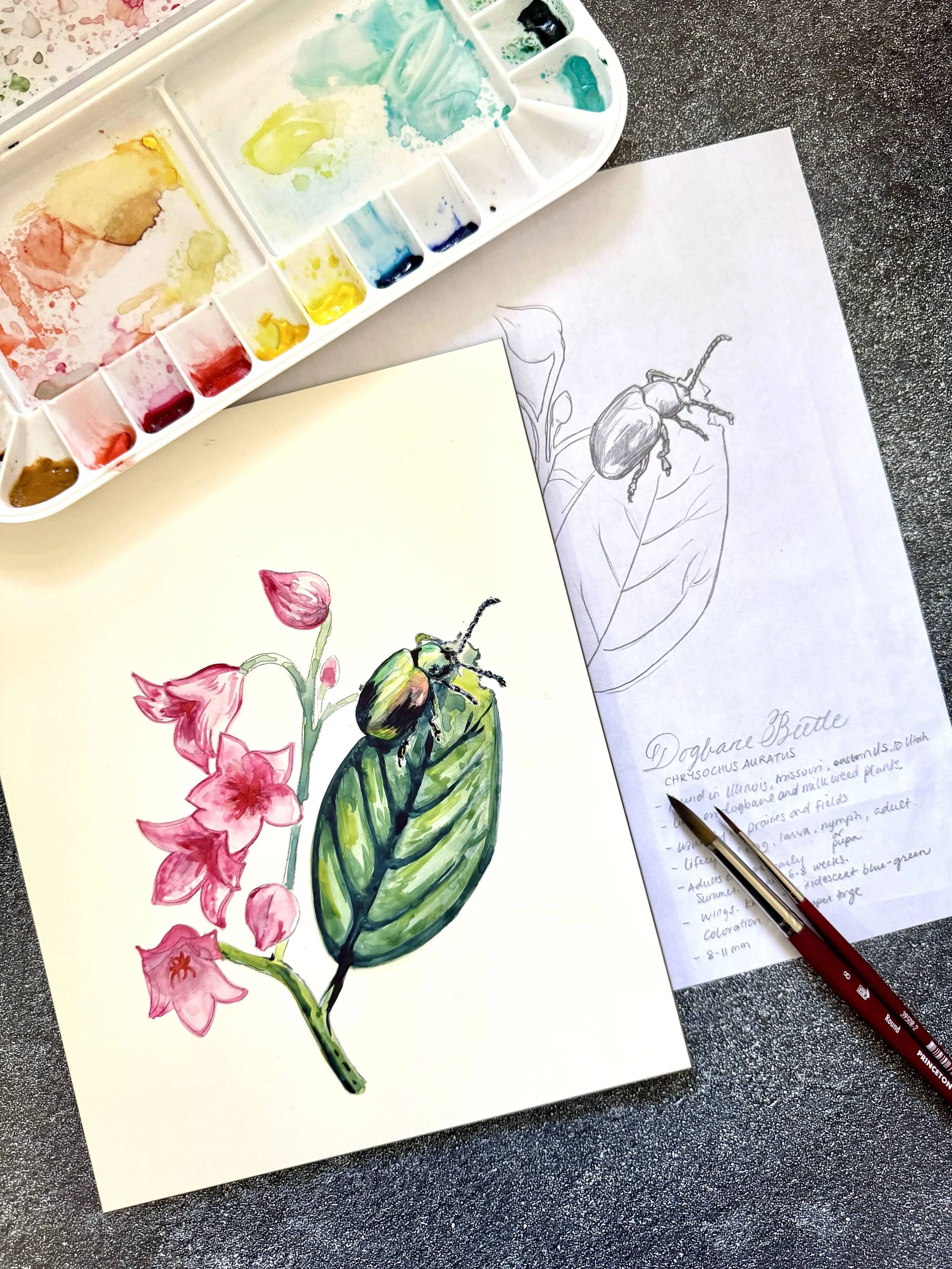 Pearl_Lui-DearDaughtersDesign-Dogwood_Beetle-in_Progress.jpg