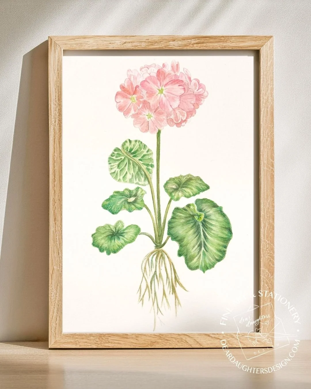 Dear_Daughters_Design-Botanical_Illustration-Primula_with_Roots-Sunny_Frame.jpg