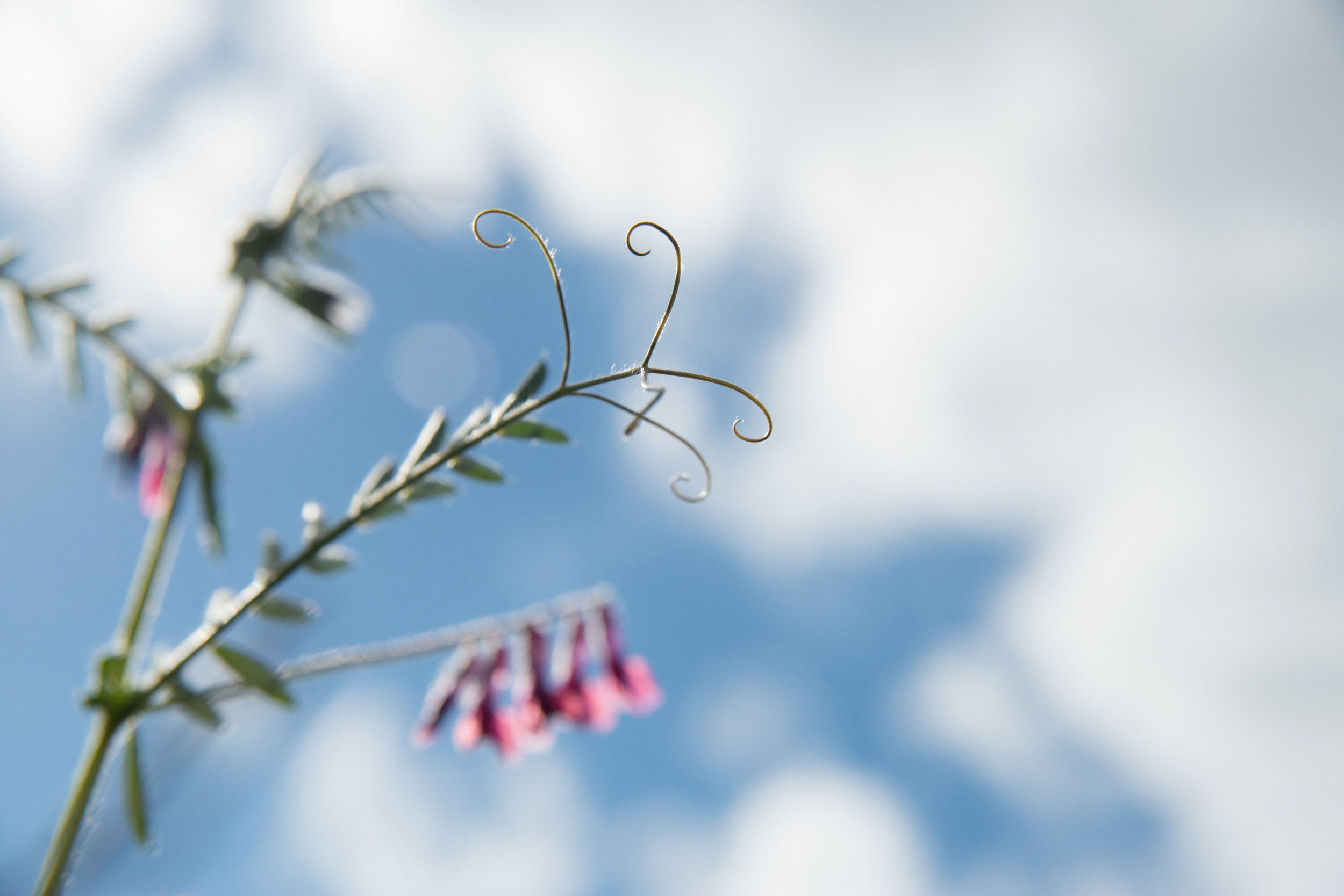 ama_sngl_p_20121005_0799-Edit.jpg