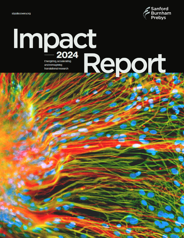 Impact Report 2024.png