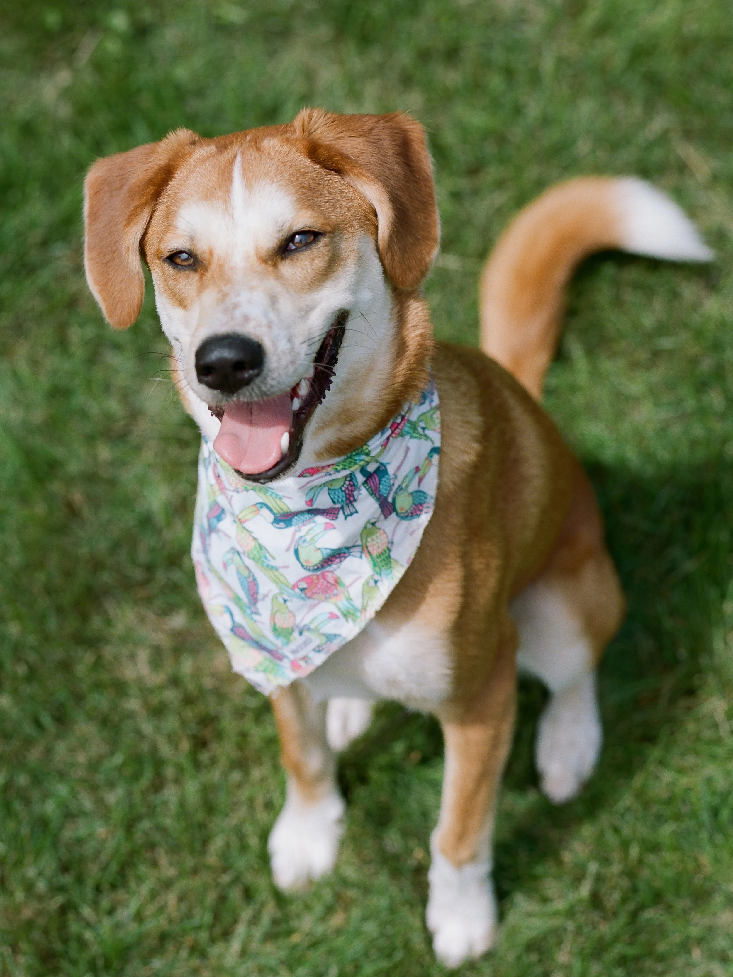 Bentley portrait - 3.jpg