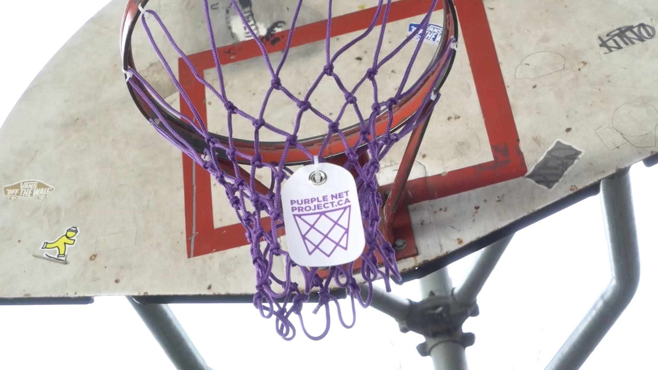 Purple Net Project Image.png
