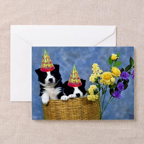 border_collie_birthday_greeting_cards_pk_of_10.jpg