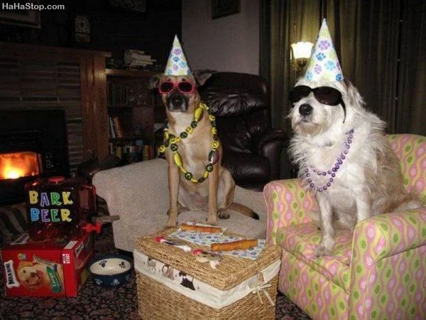Dog_Birthday_Party.jpg