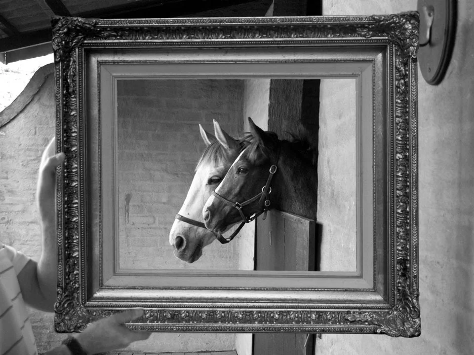 Framed Series - Mare and Foal