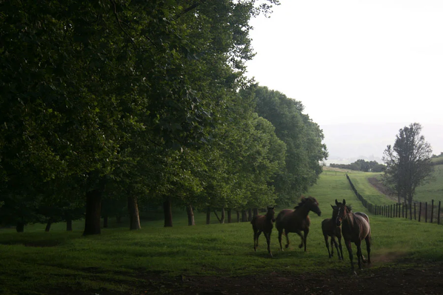 backworth-stud-17.jpg