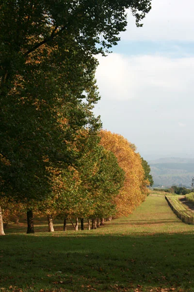 backworth-stud-11.jpg