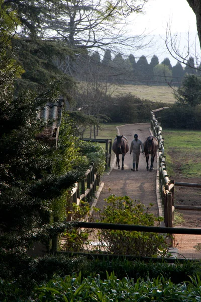 backworth-stud-49.jpg