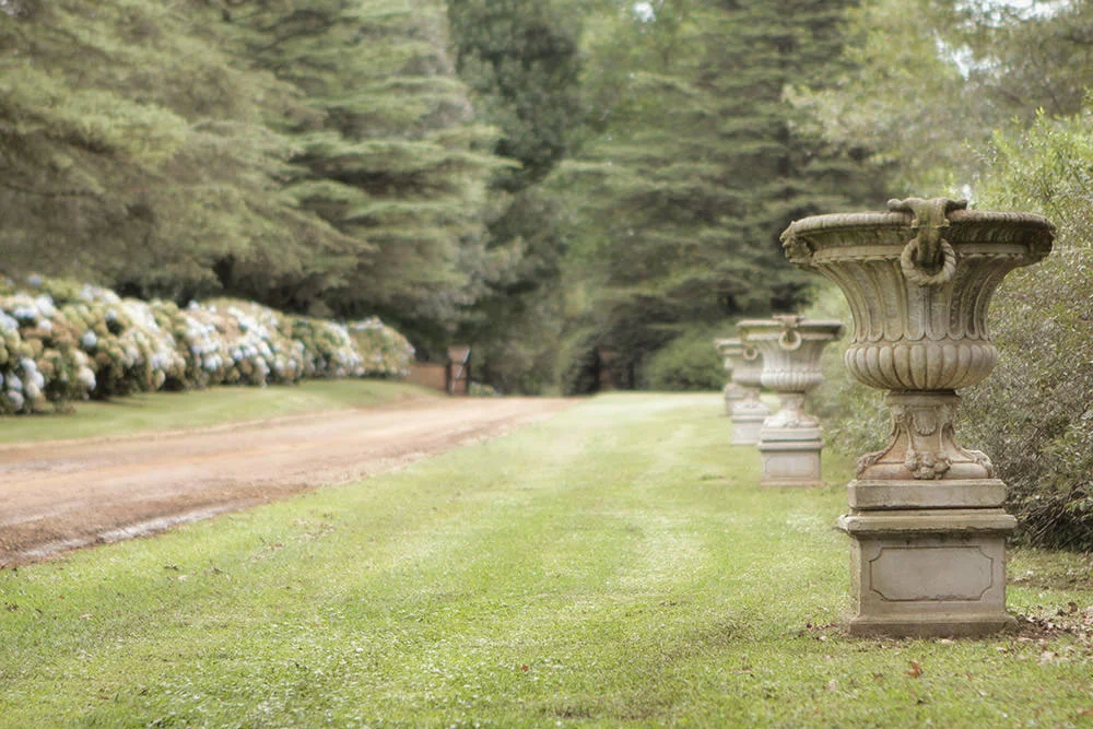 Backworth Stud South Africa S