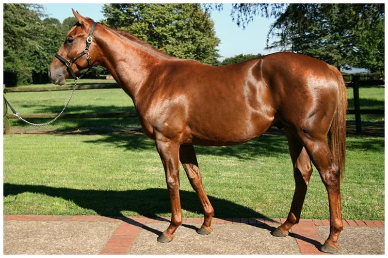 Lot 106 - Lucky Break - Muhtafal - Moving On Up