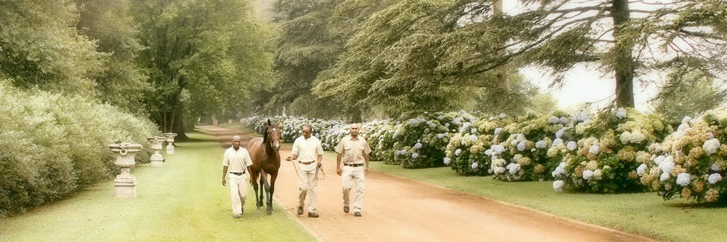   Boutique Thoroughbred Breeding Establishment  Eston, KwaZulu-Natal, South Africa   Meet Out Team  