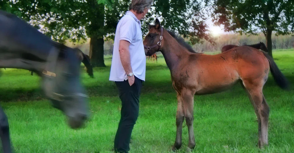 Keith, the Crusade foal and mare, National Seeker / Ian Todd (p)