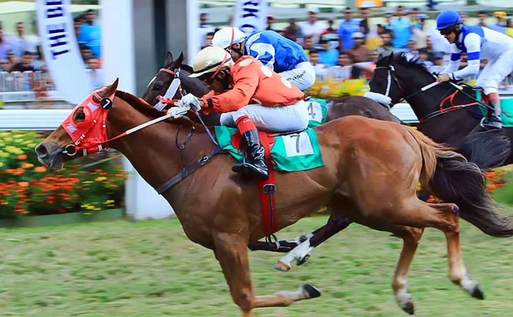 Colour Of Courage - The Best Developers Cup / Mauritius Turf Club (p)