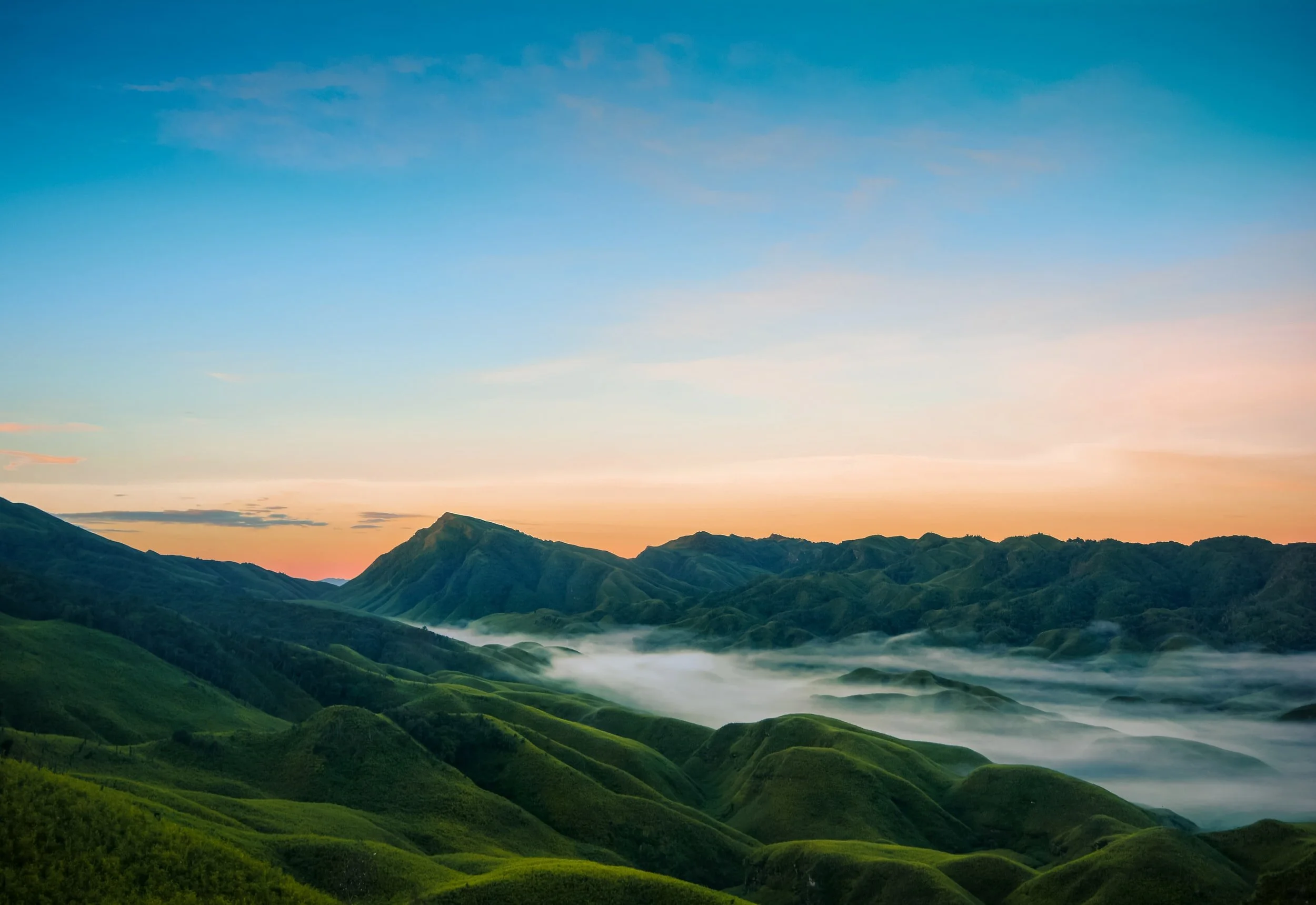 yogaSOMATICS: Exploring your Inner Eco-system