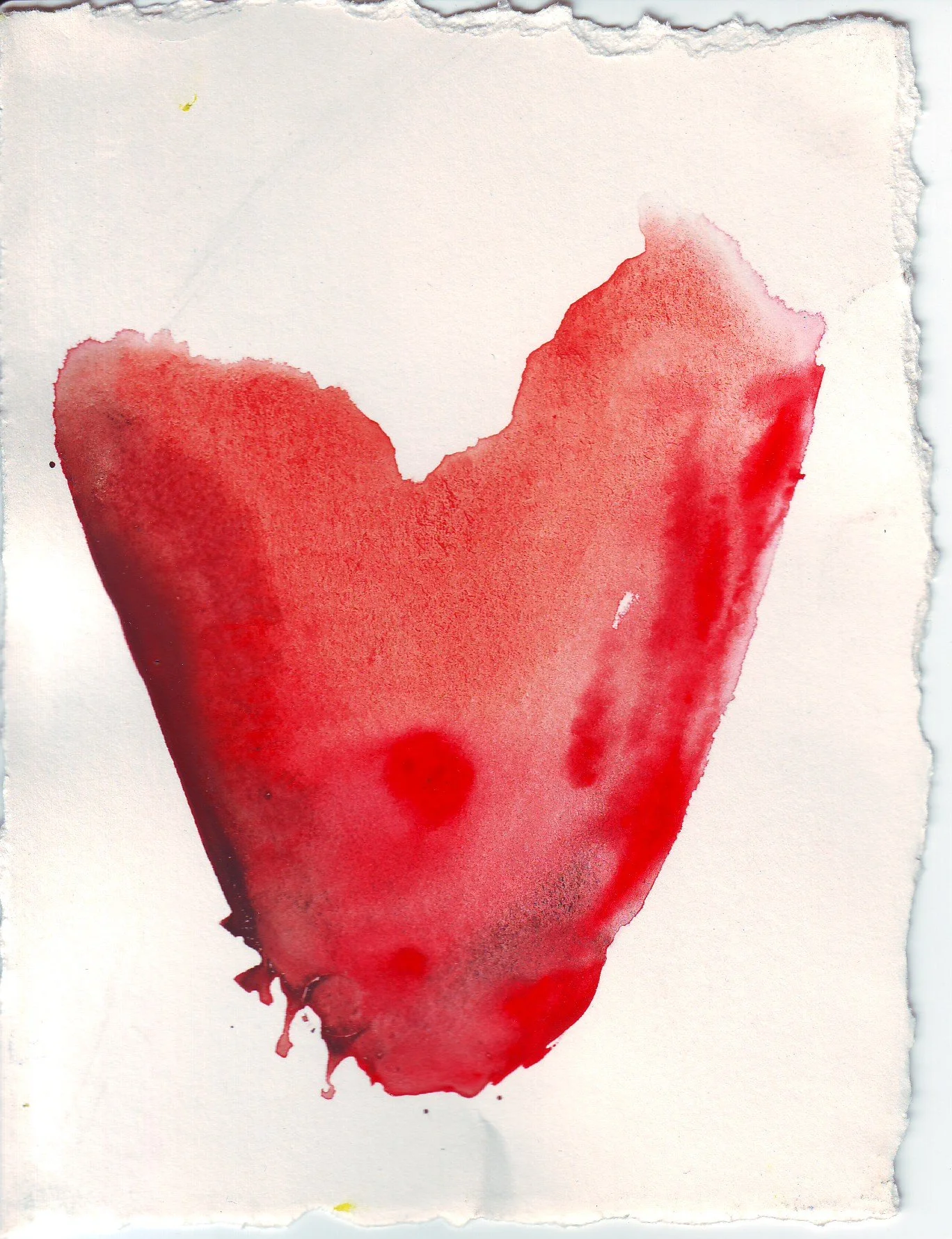 TONGUE:  Online Soft Tissue Deeper Dive