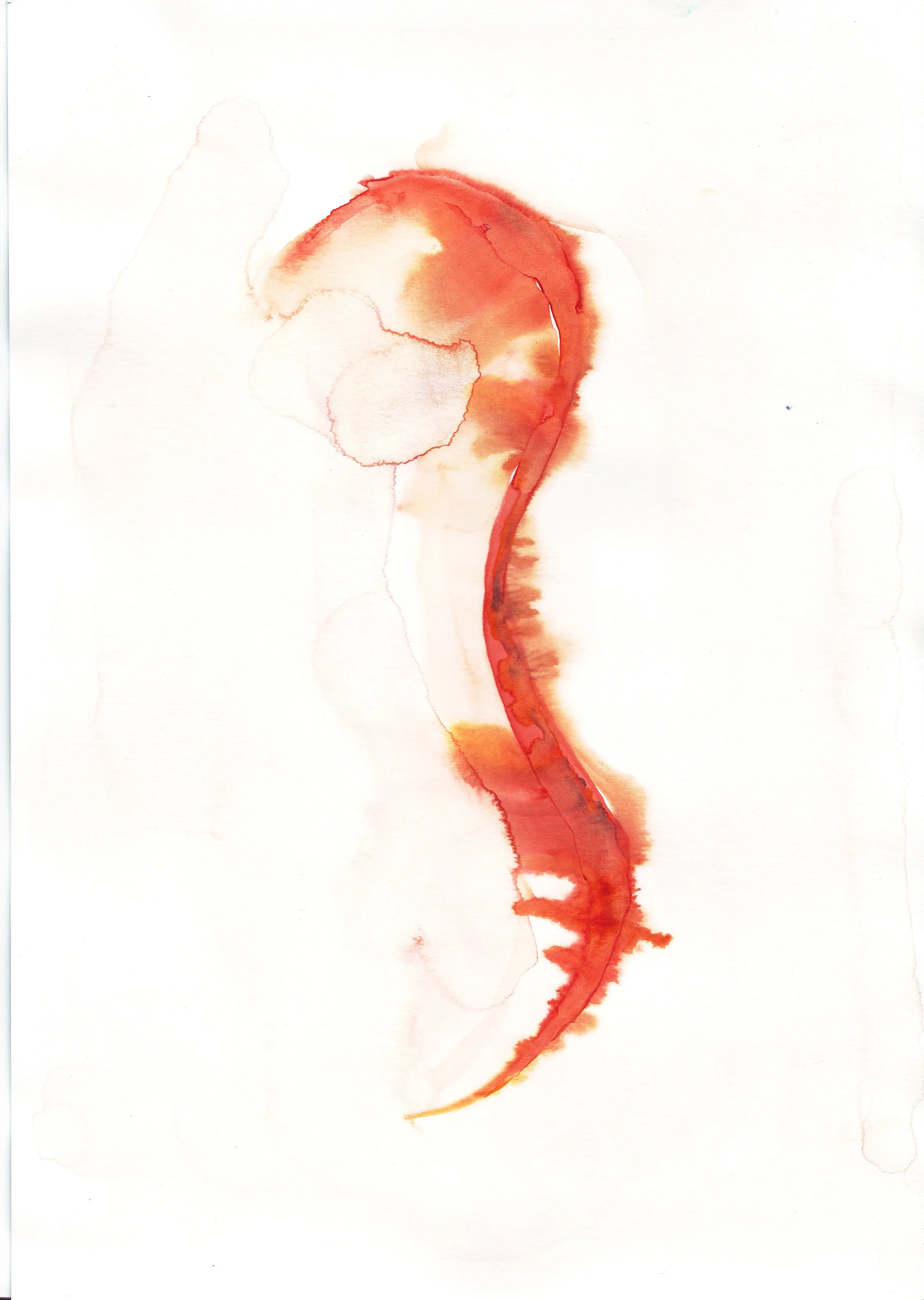 RECIPROCAL TENSION MEMBRANE:  Online Soft Tissue Deeper Dive