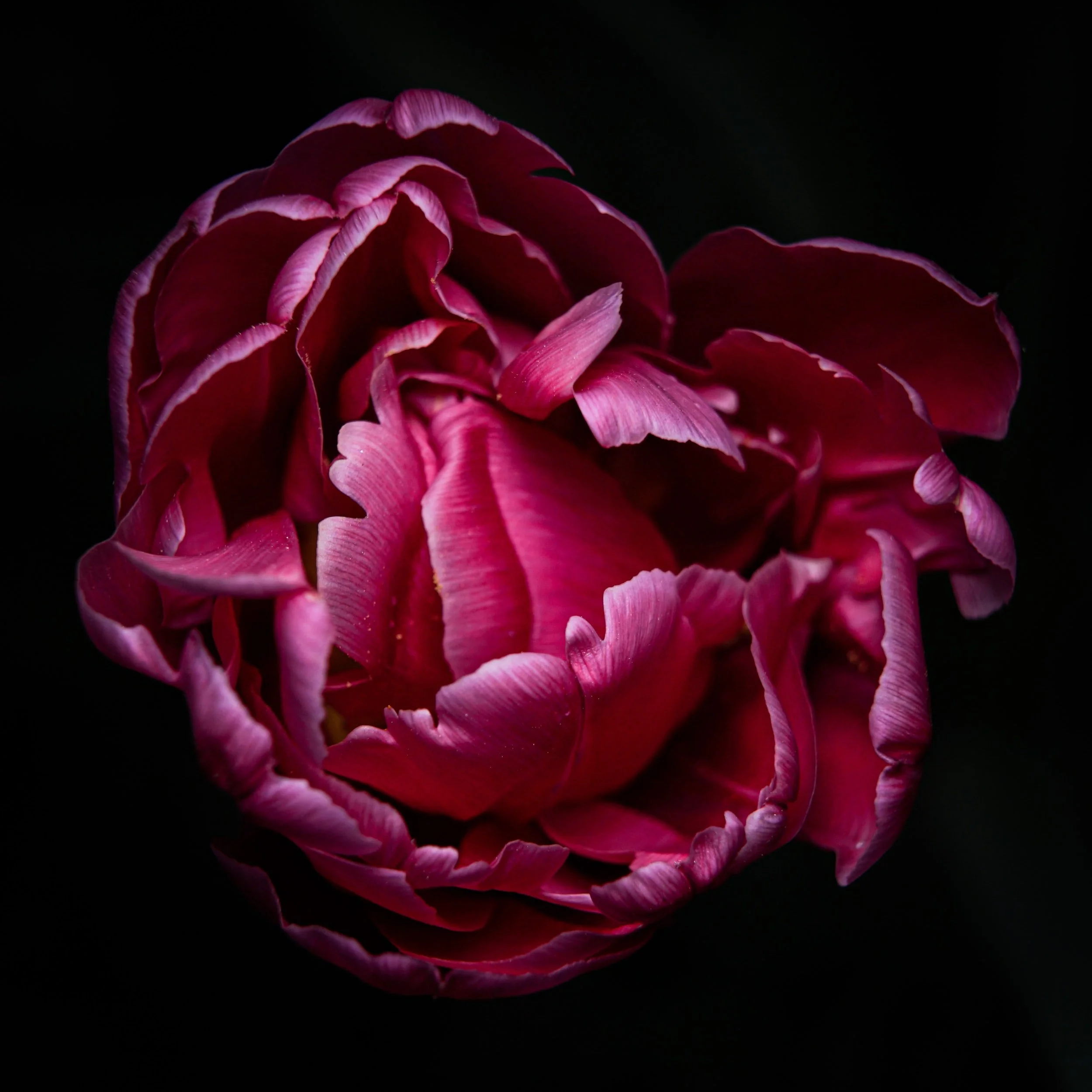 Tantra per la donna