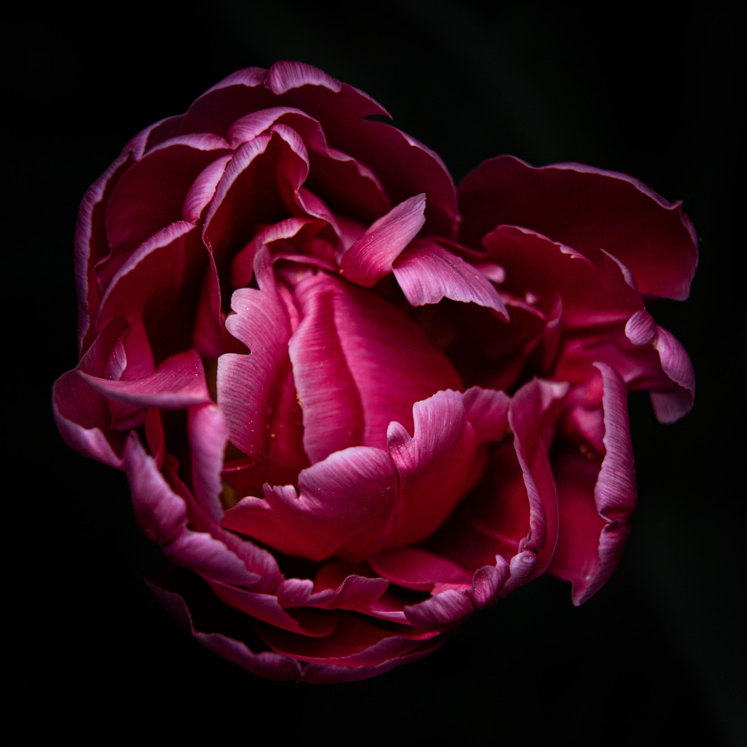 Tantra per la donna - ritiro
