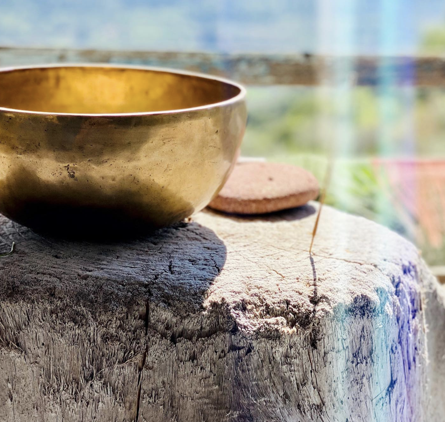 yogaSOMATICS in Goteborg