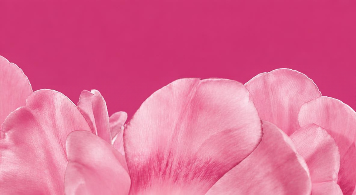 ystt 2027 banner background.png