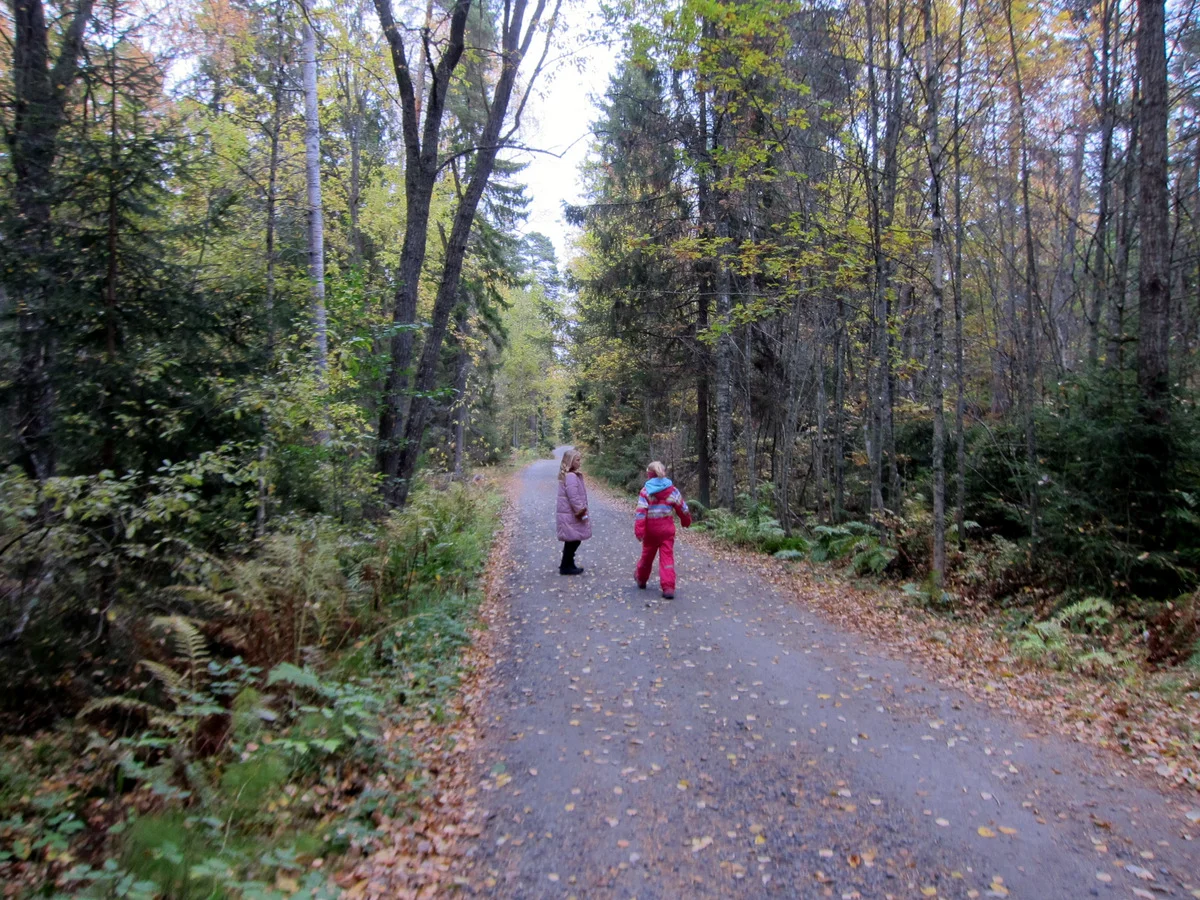 What my kids don't know