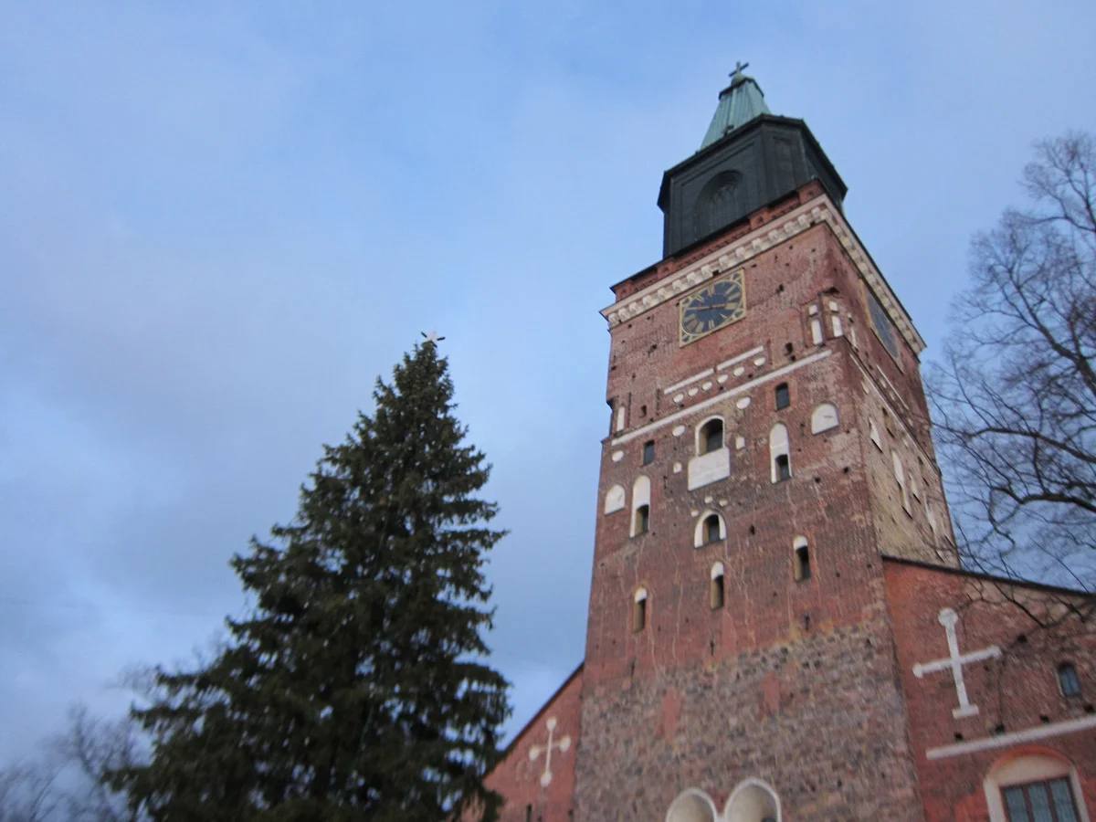 Christmas tree lighting