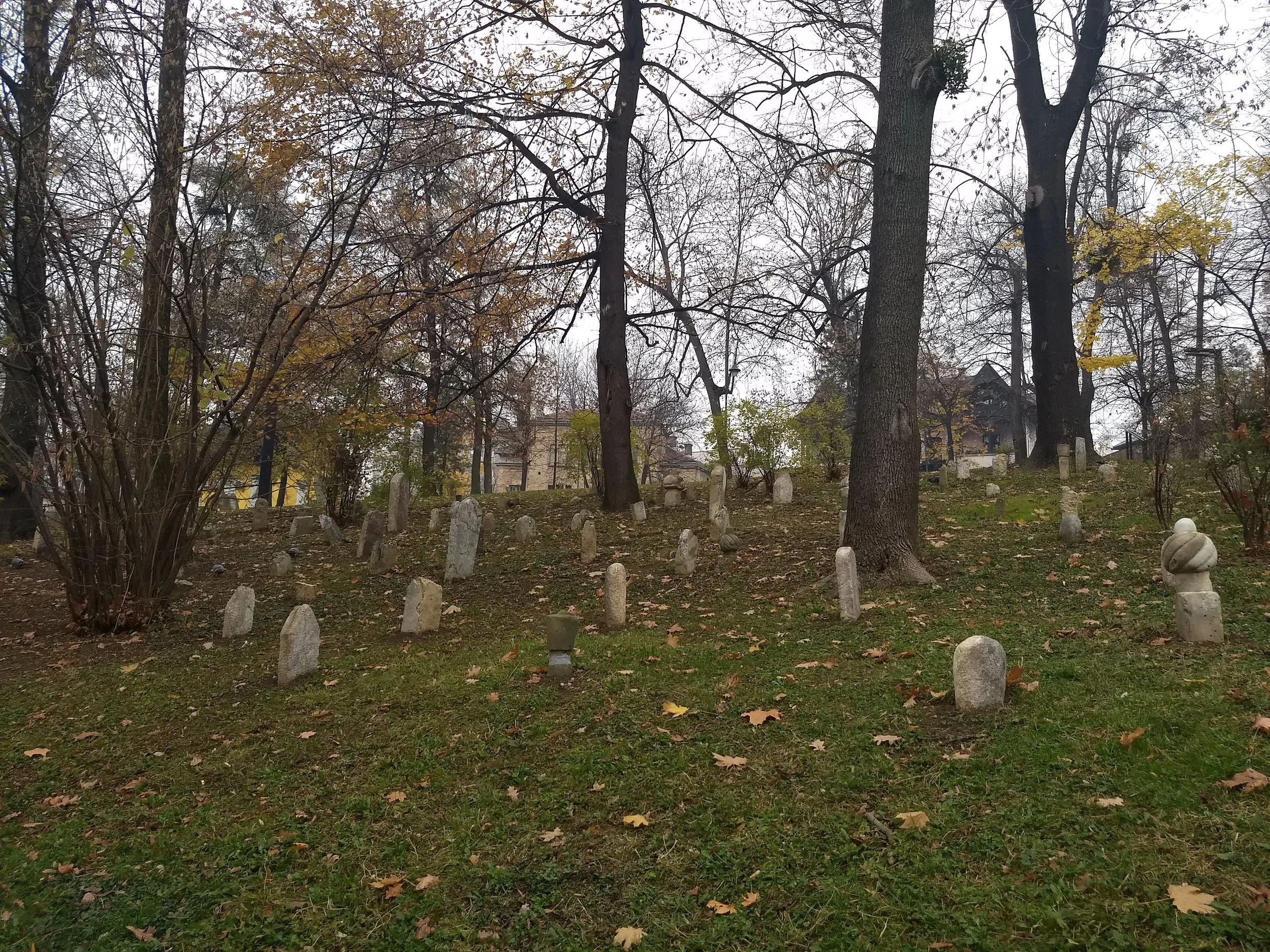 IMG_20181125_124602613.jpg
