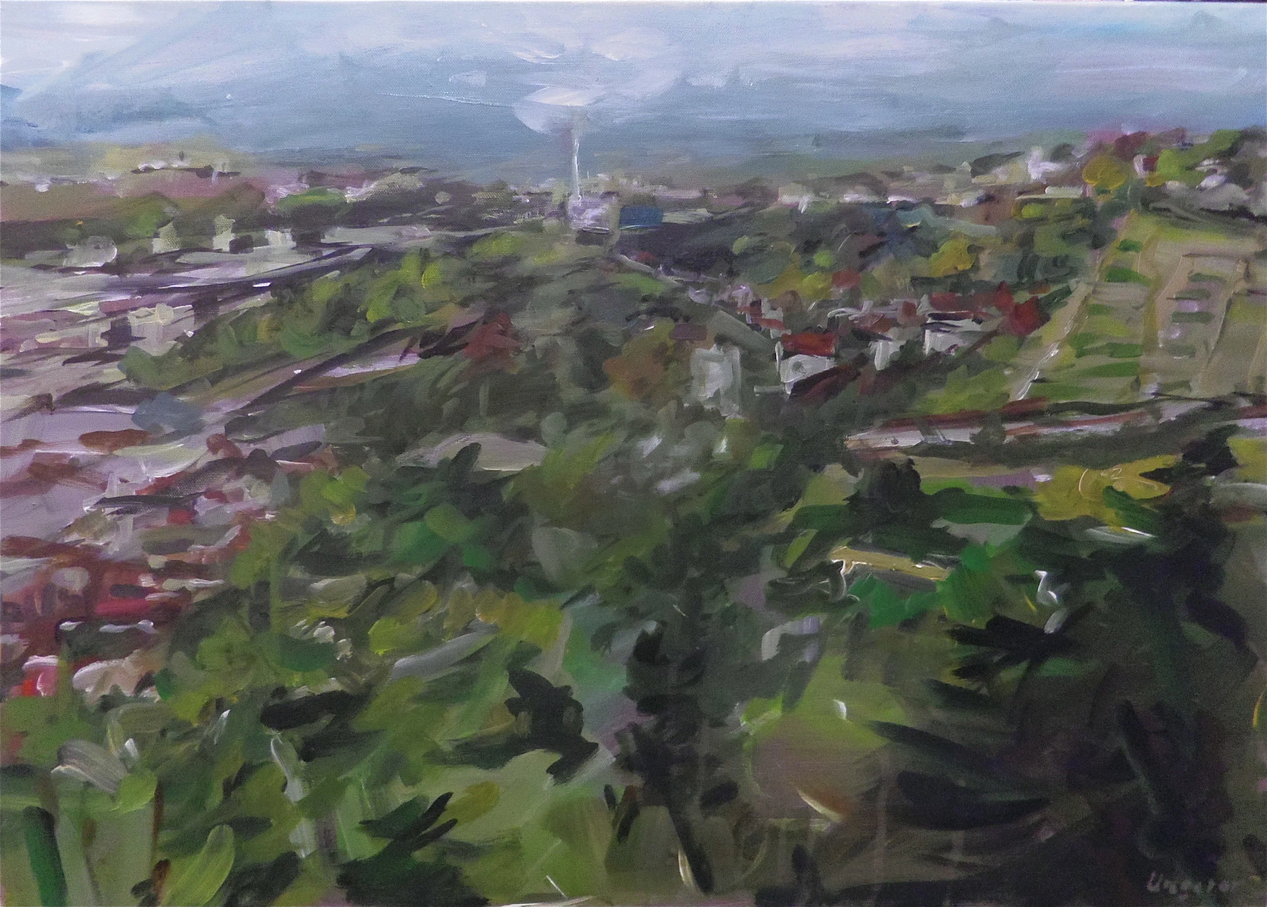 Blick vom Haigst  Acryl/Leinwand  50x70 cm