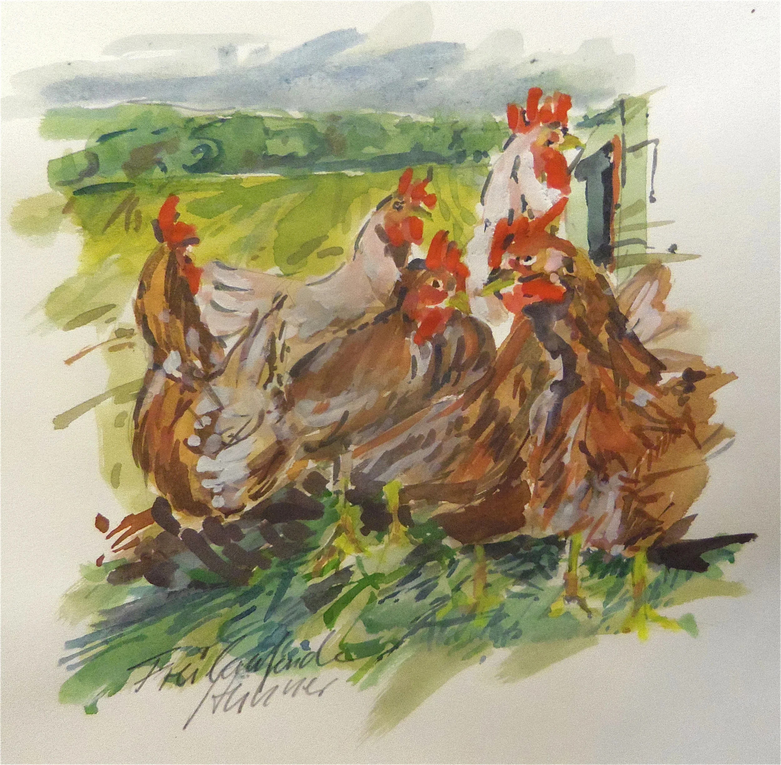 Freilaufende Hühner  Aqarell 22x22 cm