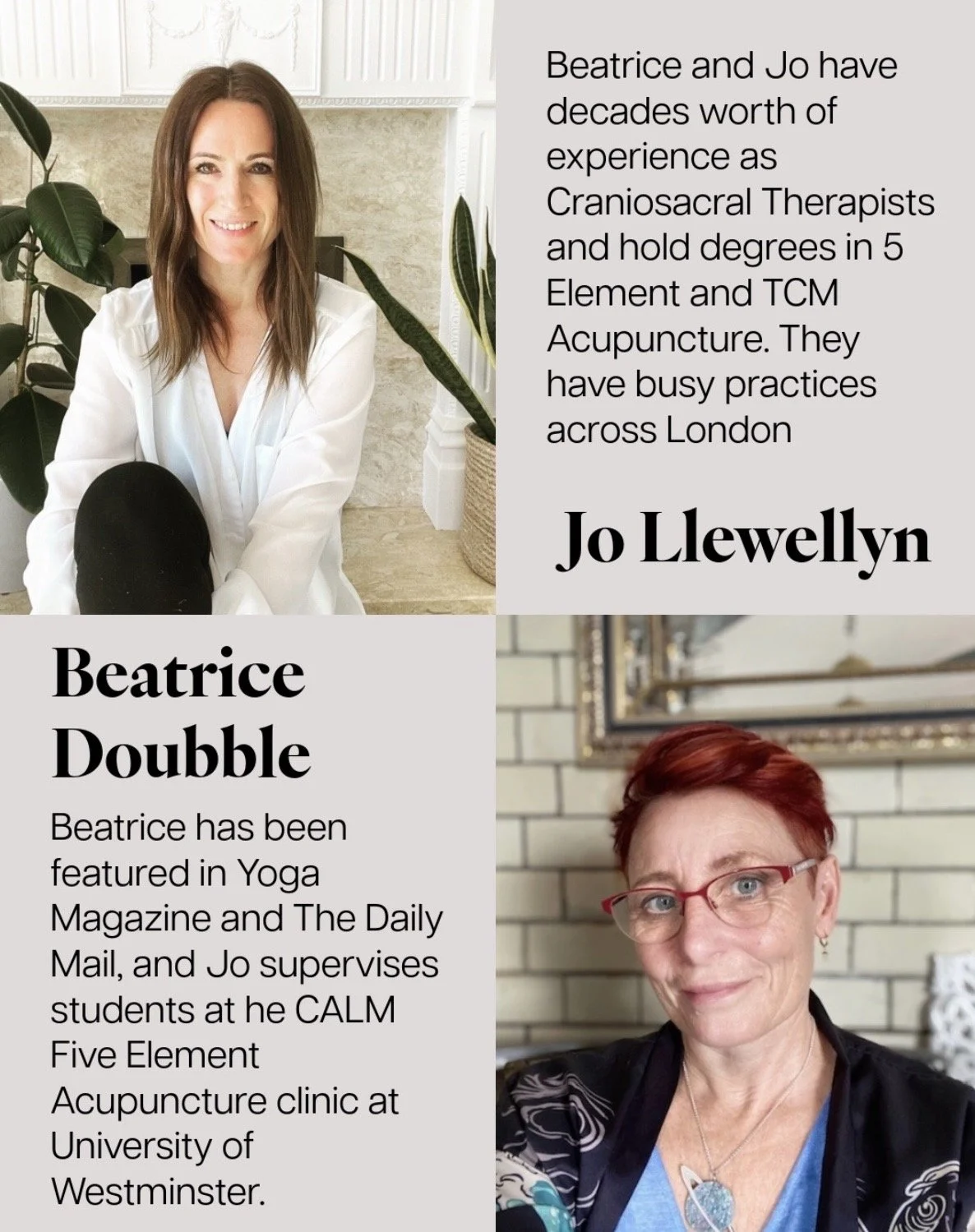 Meridians flyer2.jpeg