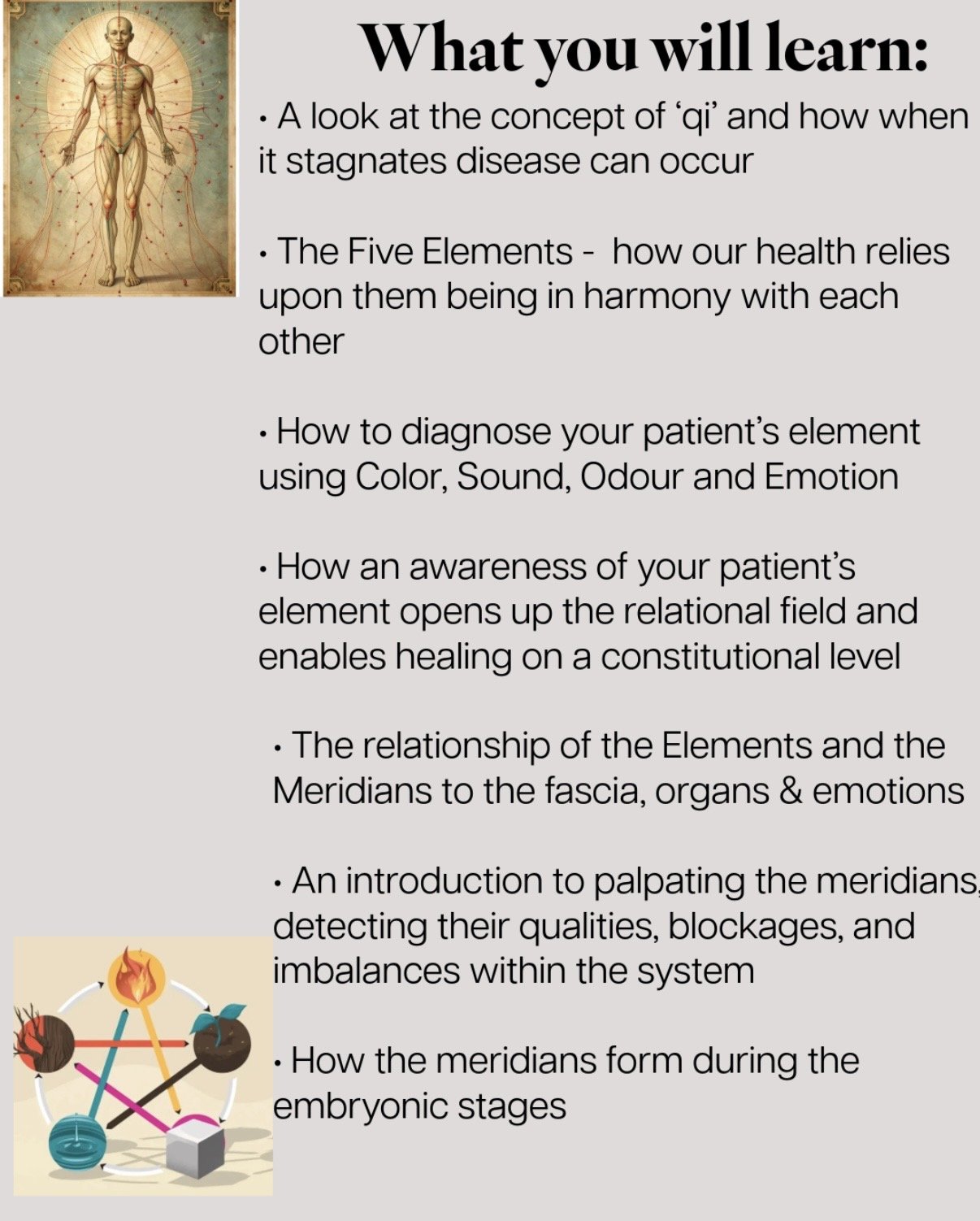 Meridians flyer3.jpeg