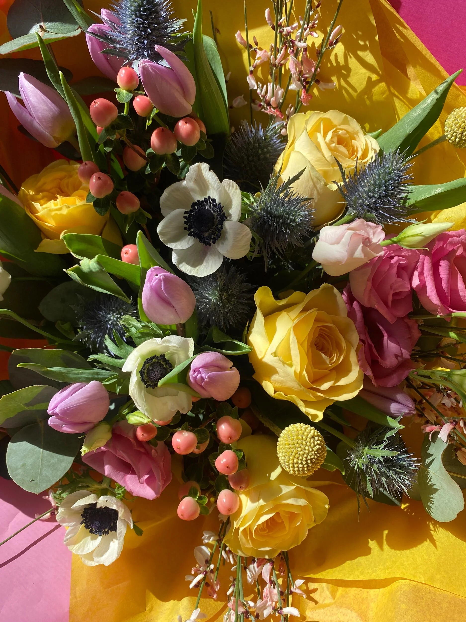 DC8CA32C-C5FA-4444-955E-C22707526883