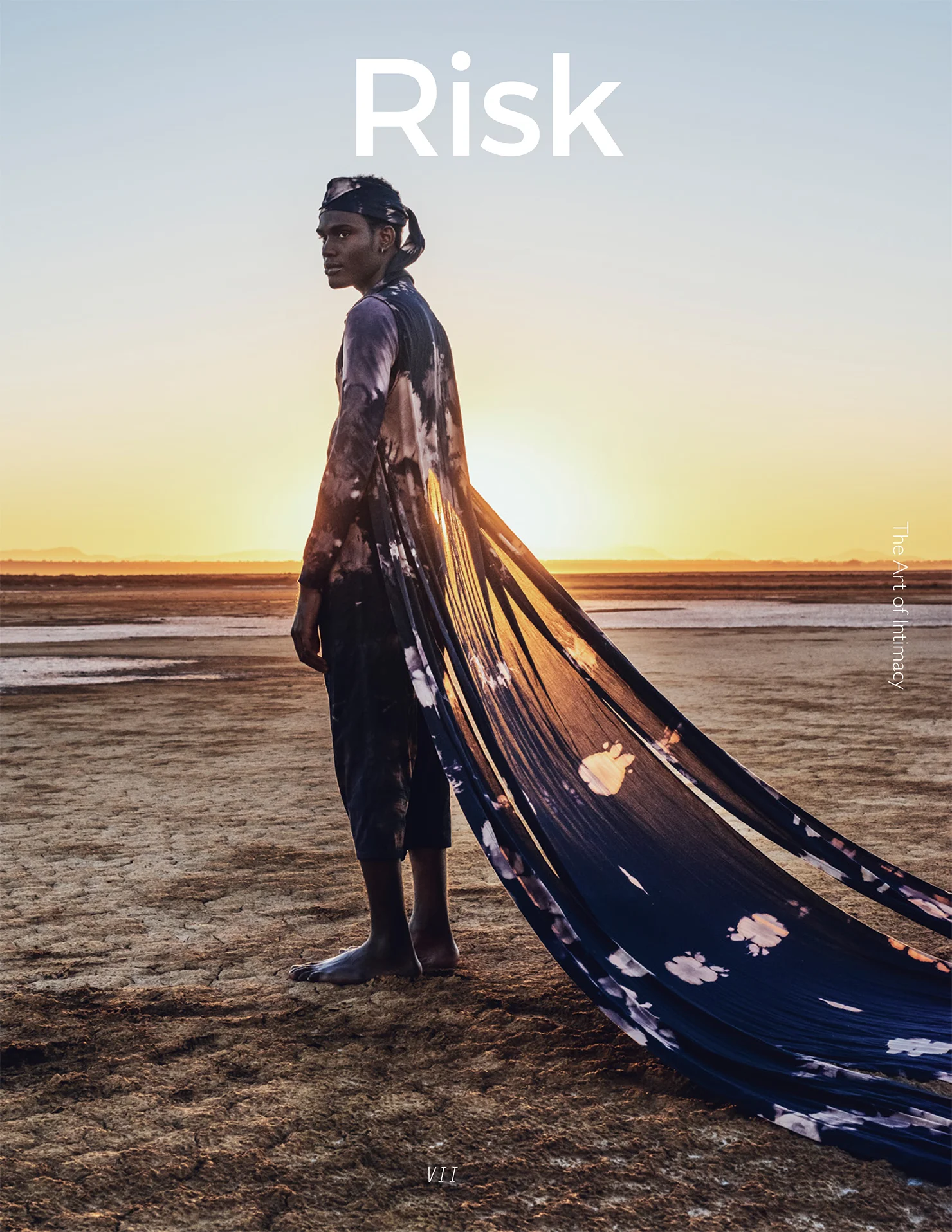 Risk VII Final Cover 1 (1)-1.jpg