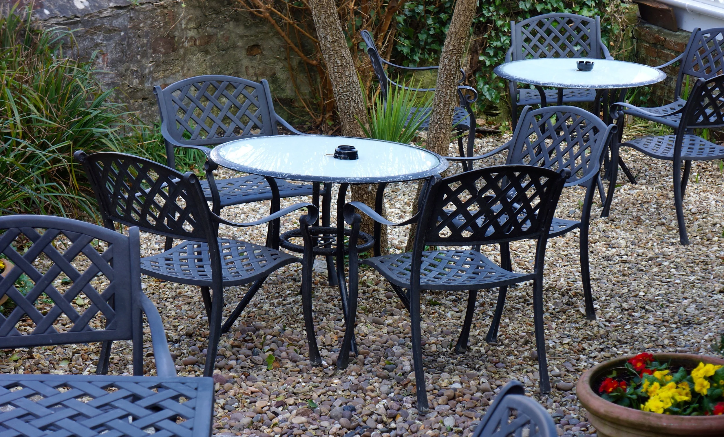 Our garden area