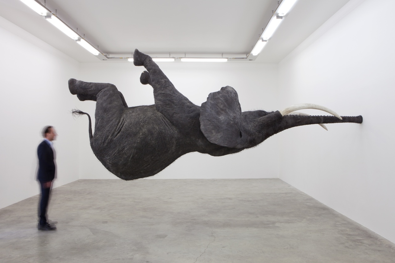 Balancing Act in Kunsthal de Kade (Amersfoort)