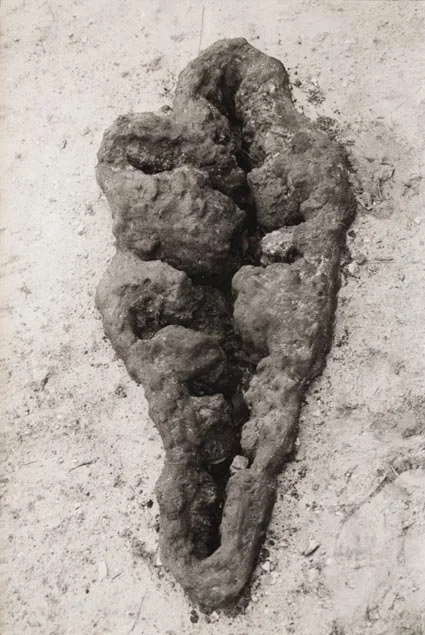ana-mendieta-untitled-maroya-1982.jpg