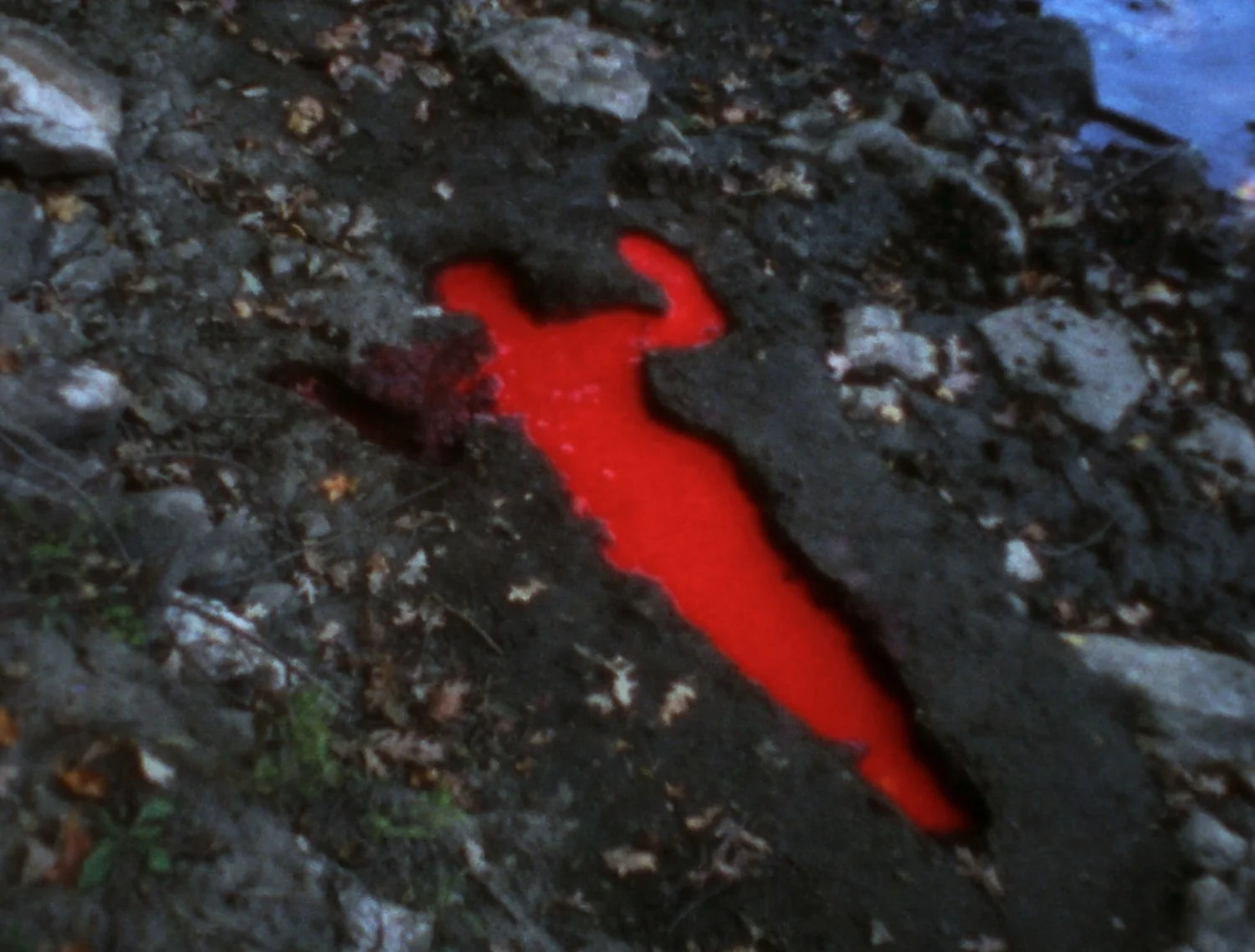 USE-THIS!_Ana-Mendieta,-Silueta-Sangrienta,-1975-©-The-Estate-of-Ana-Mendieta-Collection,-LLC--Licensed-by-Artists-Rights-Society-(ARS)-NY.jpg.jpeg