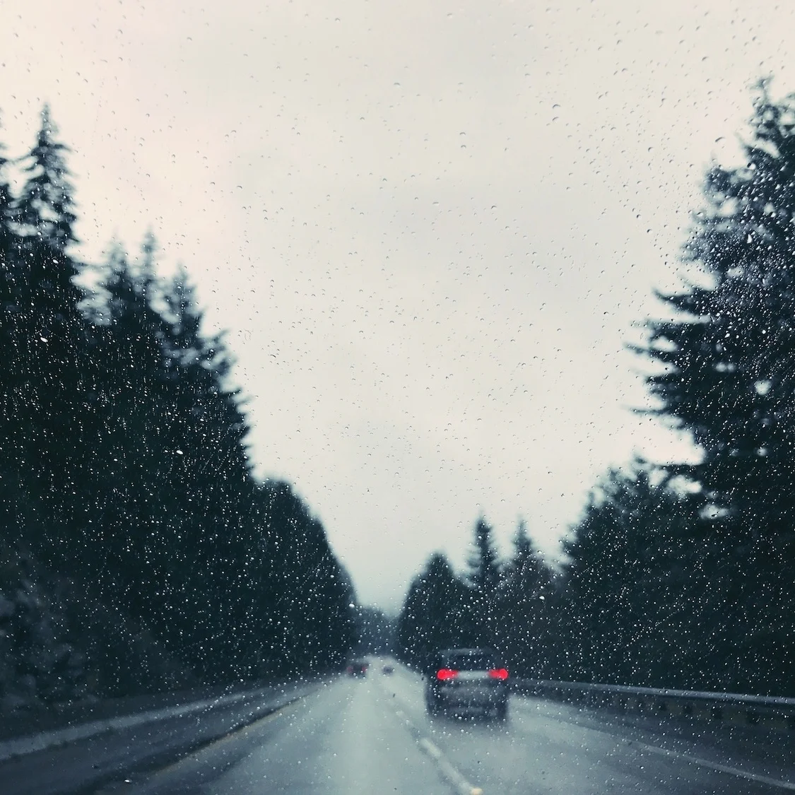 Driving in the rain. Pacific Northwest winter.