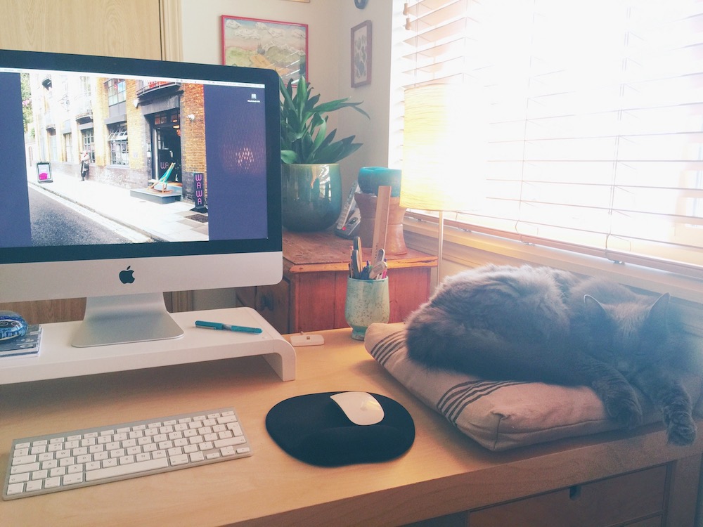 My little office assistant!