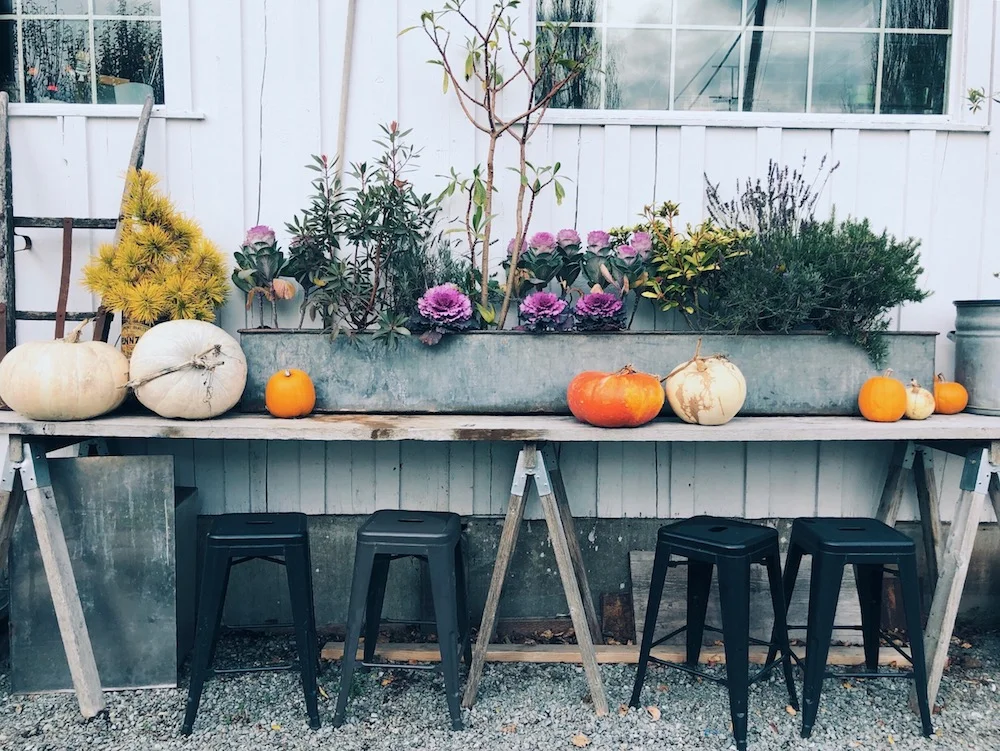 Why I stopped feeling upset about Squarespace's pricing plan changes | Kerstin Martin Squarespace Studio