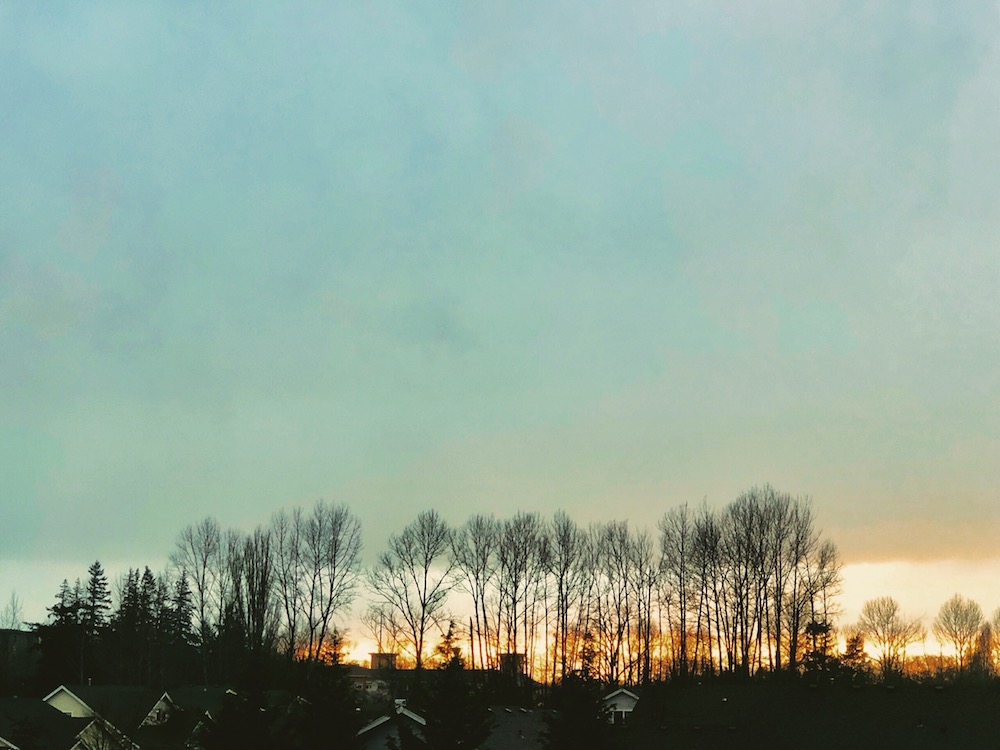 Winter view from my office.