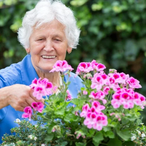 Ann Yakimovicz: Elderyarding - Creating an Ageless Garden