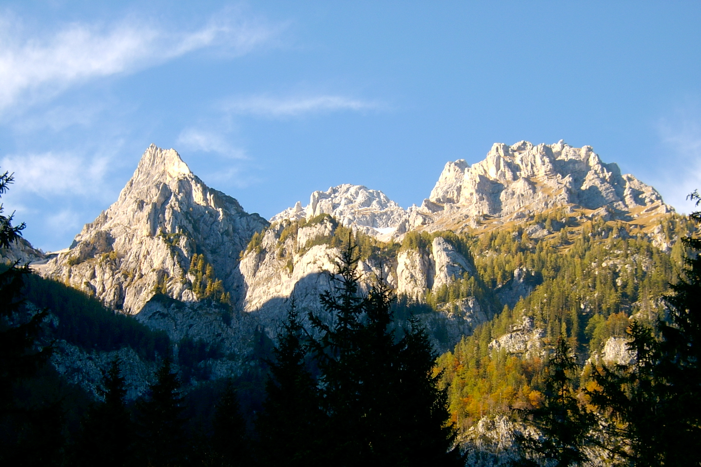 sh_0008.jpg