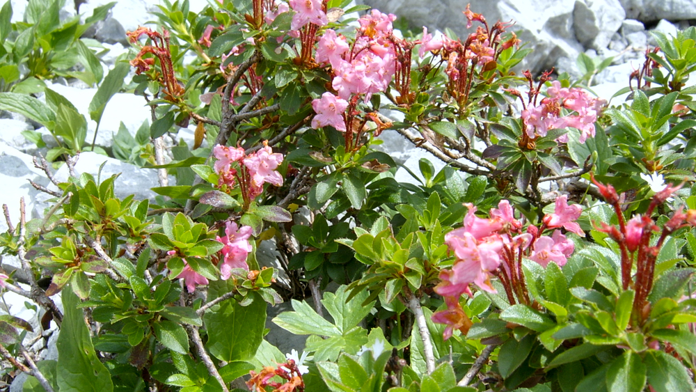SV400268.jpg