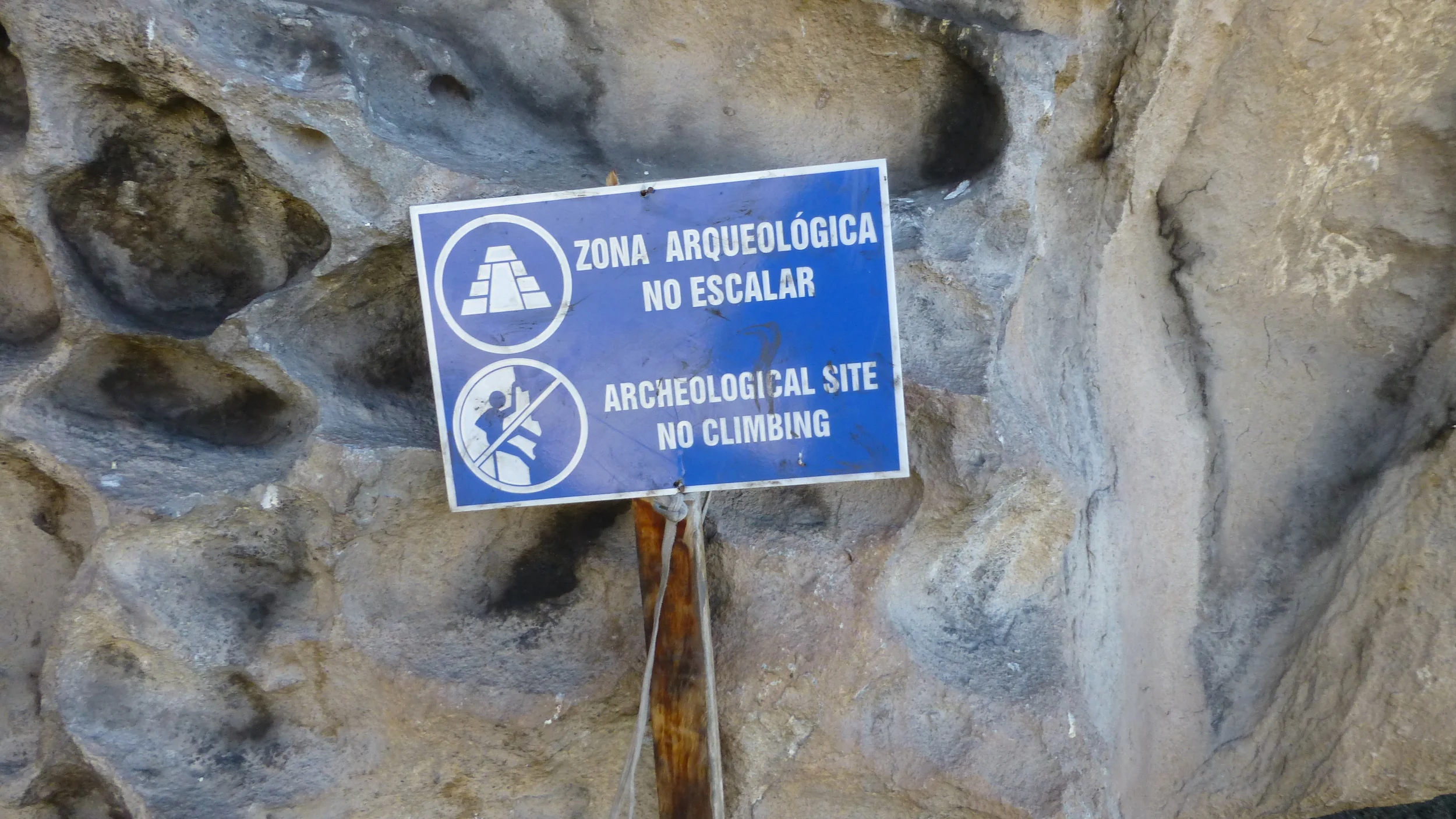 P1070729.JPG