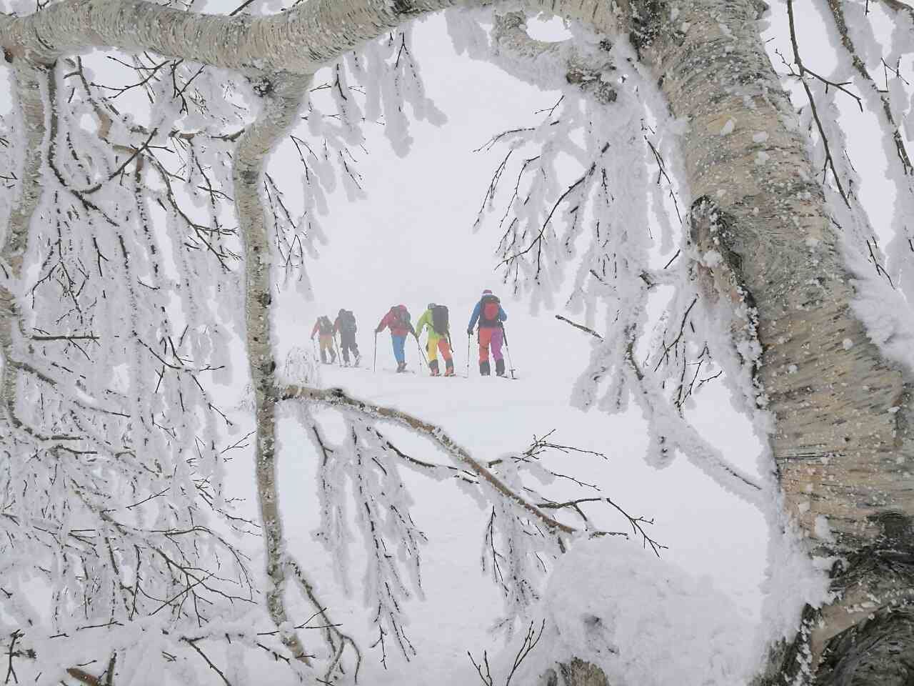 Ski touring