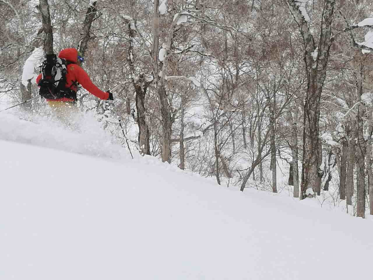 Powder skiing