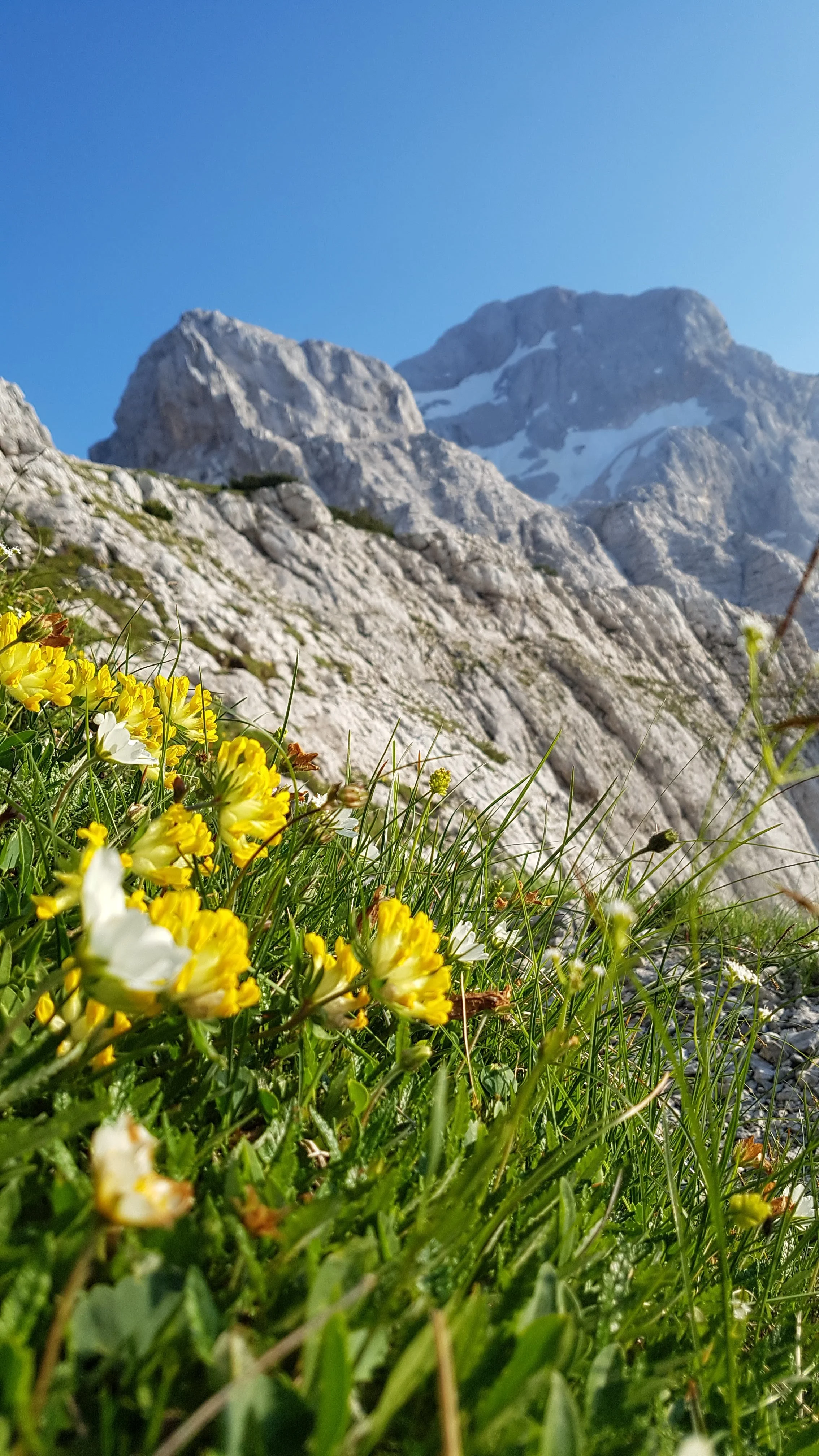 Triglav summit from Tominskova trail