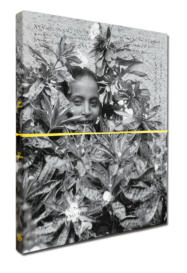 Sudden Flowers - Eric Gottesman